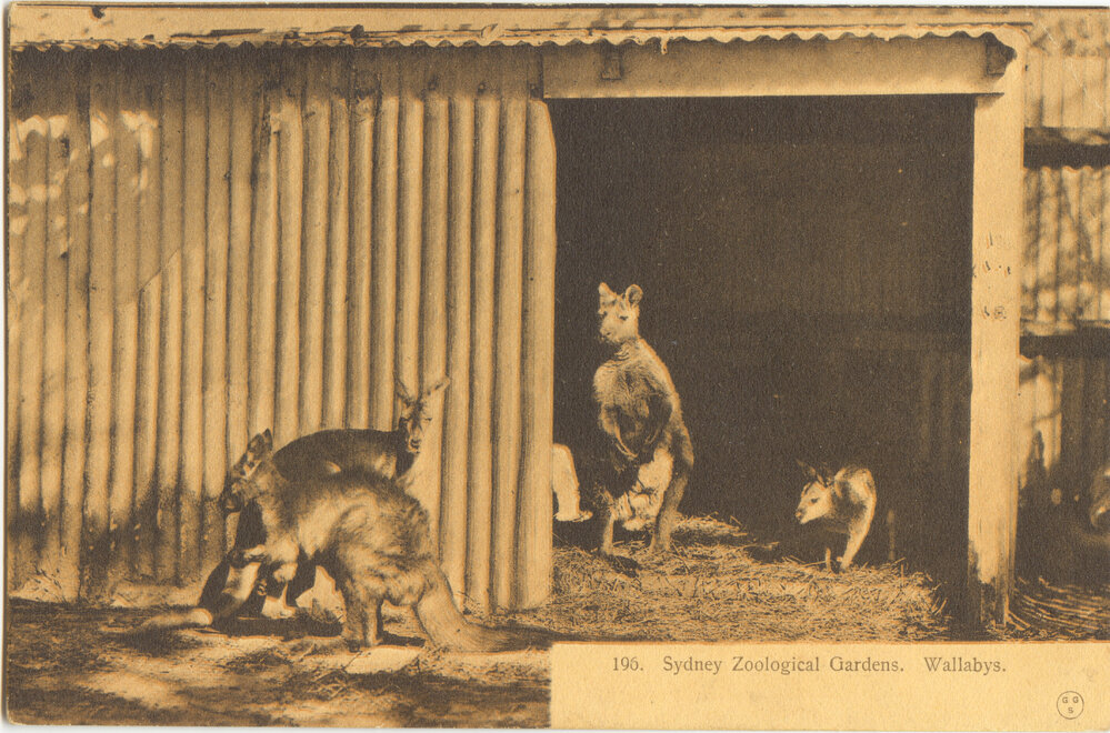 Moore Park Zoological Gardens