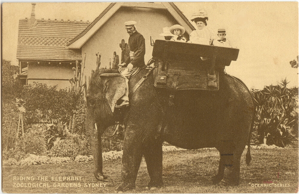 Moore Park Zoological Gardens