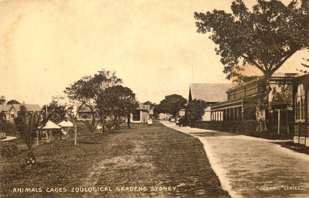 Moore Park Zoological Gardens