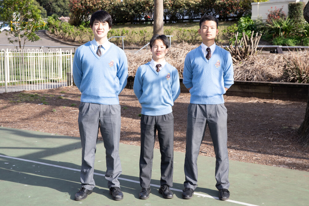 Senior String Quartet 2024