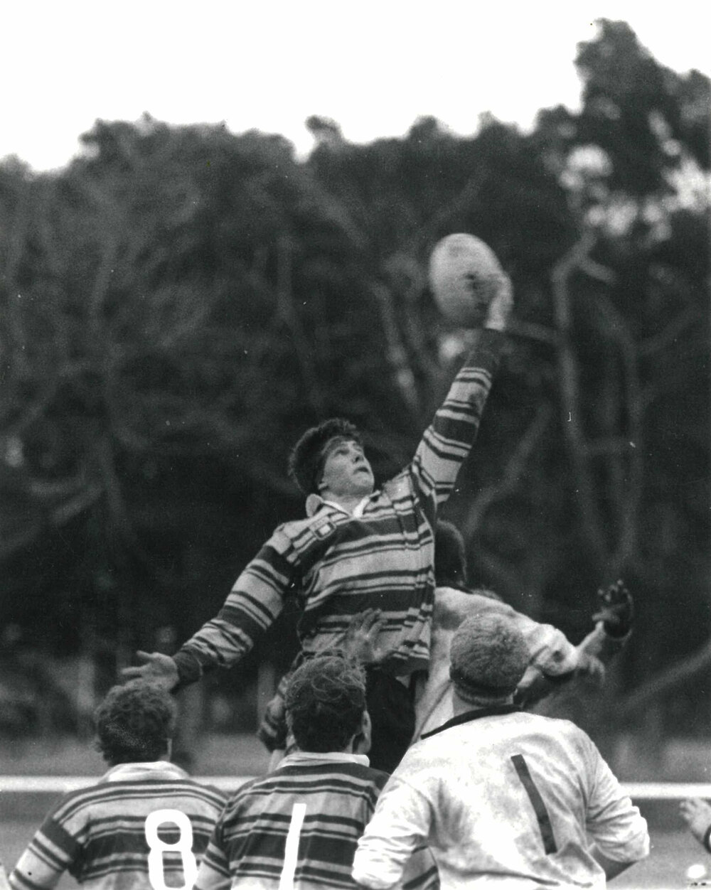 "High flies high", 1985