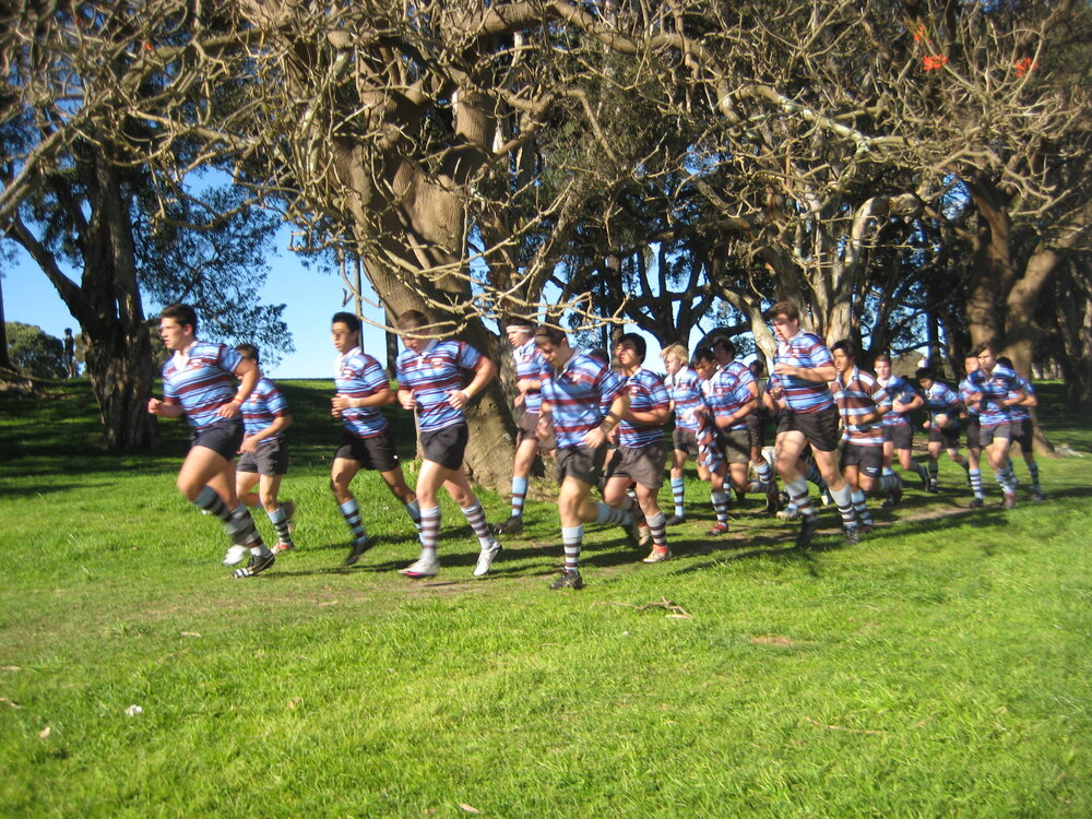 McKay Sportsground, 2010