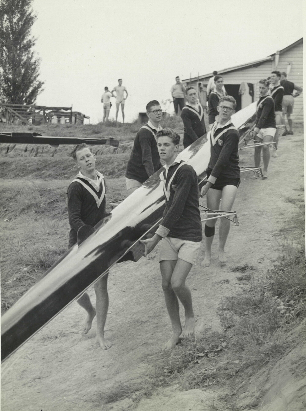 1st VIII 1953