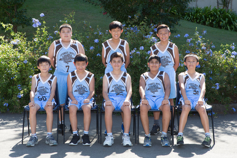 Basketball 13D 2016