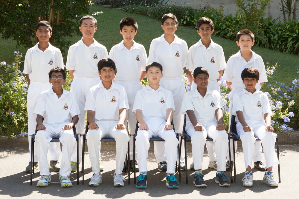 Cricket 14C XI 2016