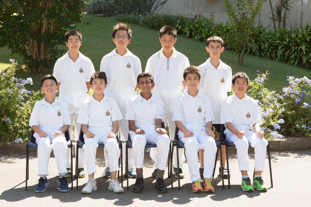 Cricket 14D XI 2016