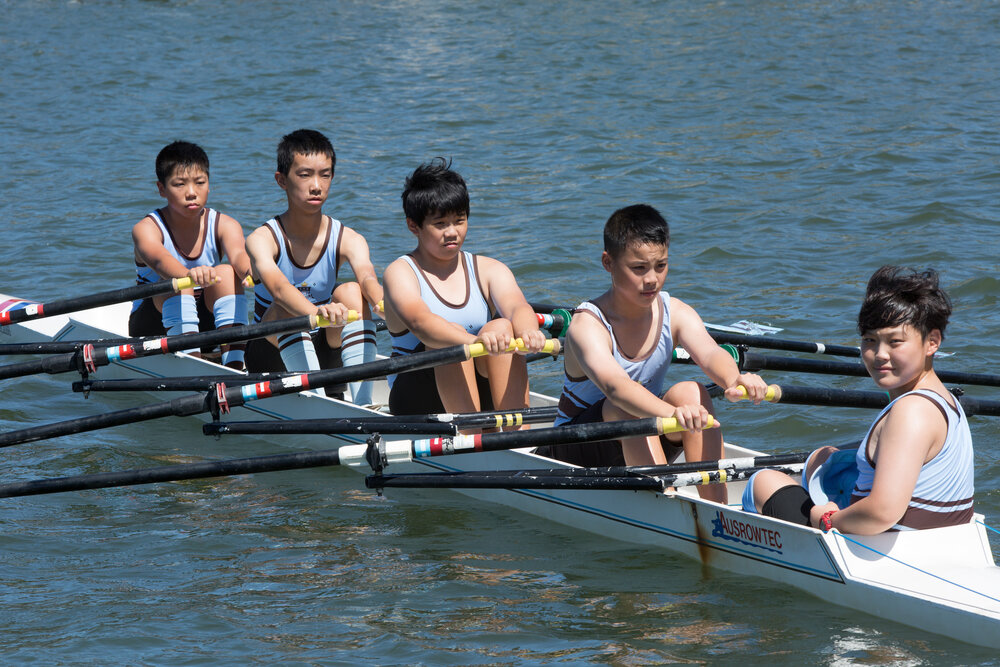 Rowing 4th Year 8 Quad 2016
