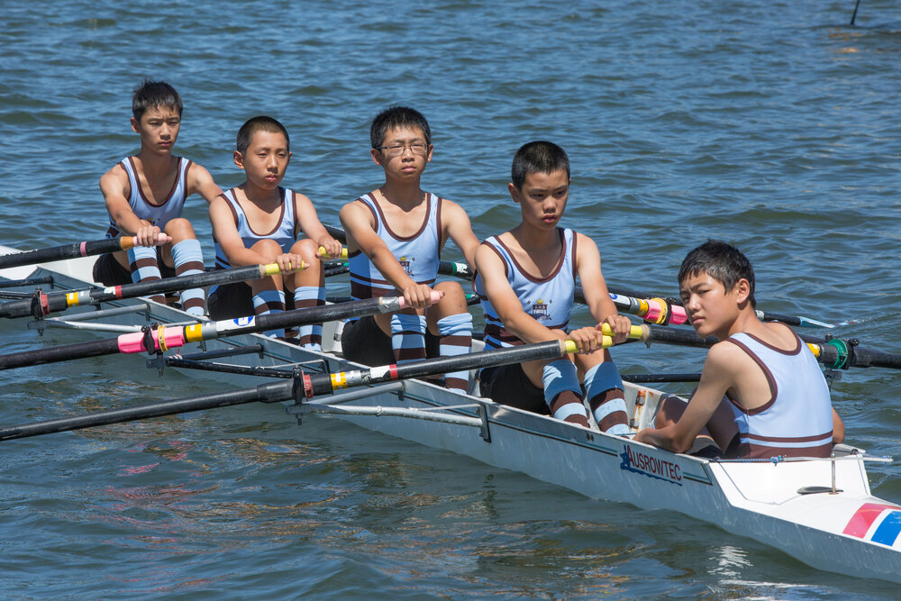 Rowing 5th Year 8 Quad 2016