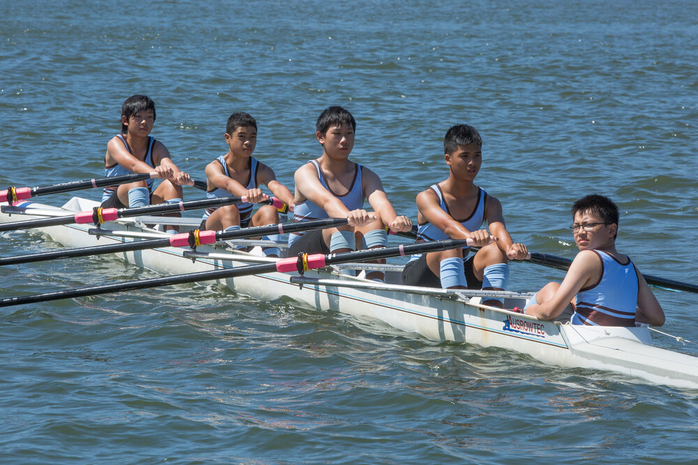 Rowing 6th Year 8 Quad 2016