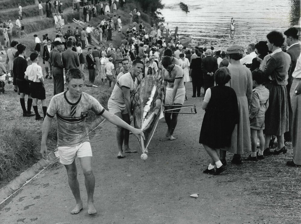 Rowing GPS Regatta 1959