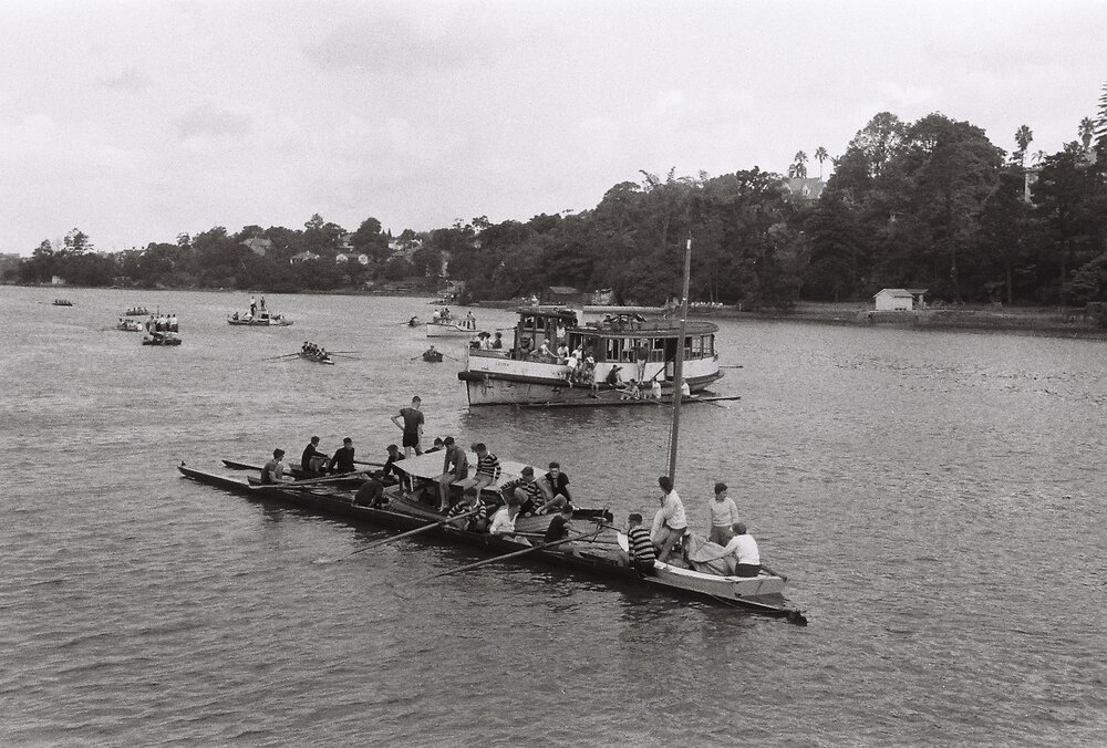 Gold Cup Regatta crowd