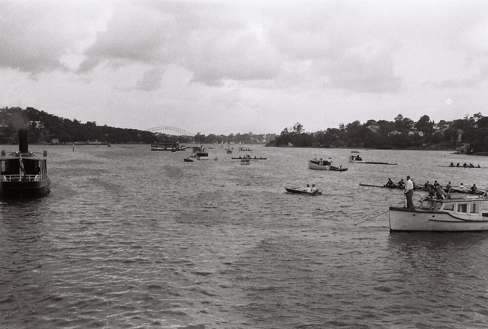 Gold Cup Regatta crowd
