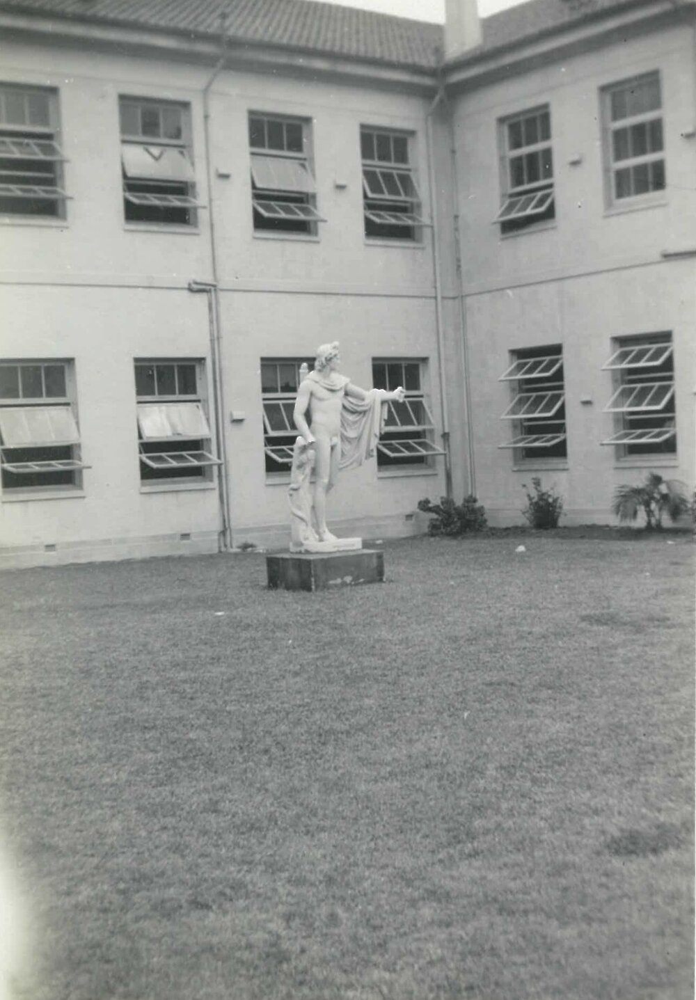 Apollo Belvedere, 1952
