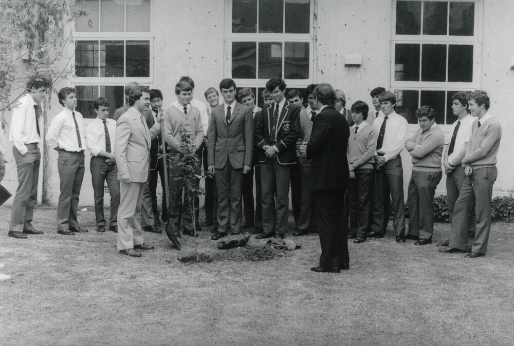 Planting cherry trees, 1984