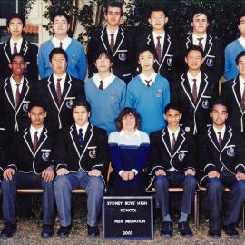 Peer Mediation 2003