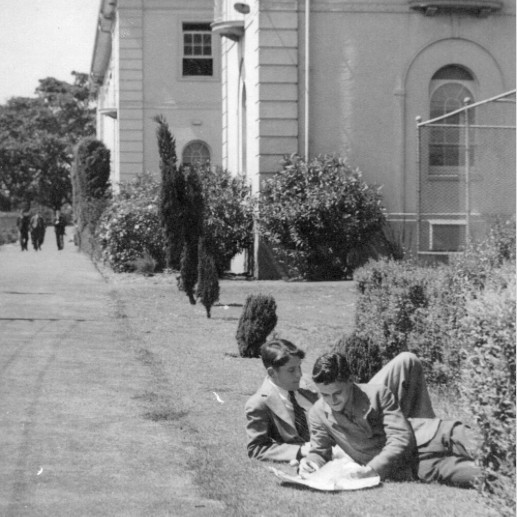 The school grounds at Moore Park