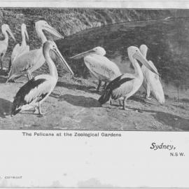 Moore Park Zoological Gardens