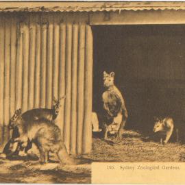 Moore Park Zoological Gardens