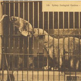 Moore Park Zoological Gardens