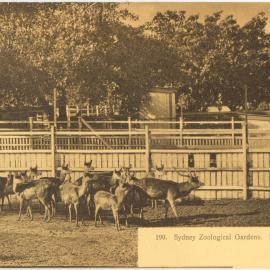 Moore Park Zoological Gardens