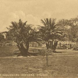 Moore Park Zoological Gardens