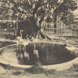 Moore Park Zoological Gardens