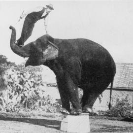 Moore Park Zoological Gardens