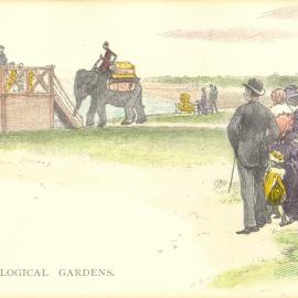 Moore Park Zoological Gardens