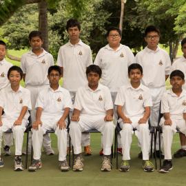 Cricket 14C XI 2017