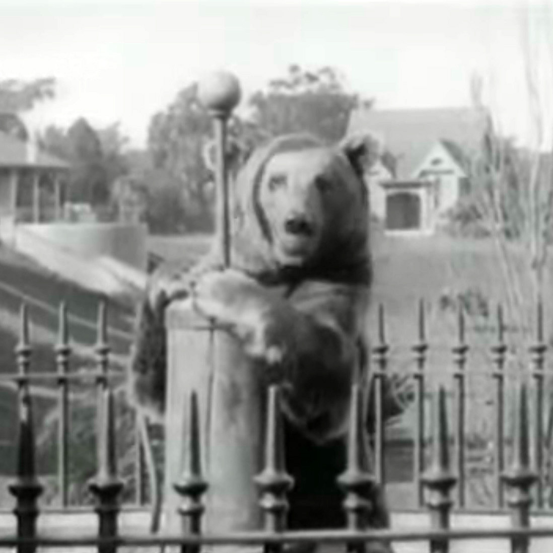 Moore Park Zoo Images
