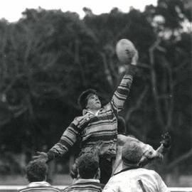 "High flies high", 1985