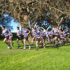 McKay Sportsground, 2010