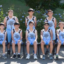Basketball 13D 2016