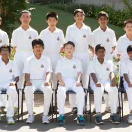 Cricket 14C XI 2016