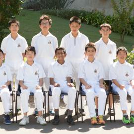 Cricket 14D XI 2016