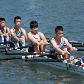 Rowing 4th Year 8 Quad 2016