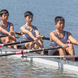 Rowing 4th year 8 quad 2023