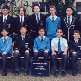 String Orchestra 2001