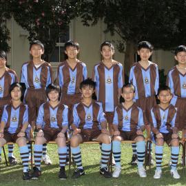 Football 13D 2011