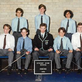 Fencing 1993