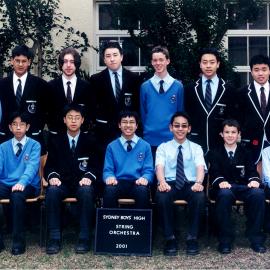 String Orchestra 2001