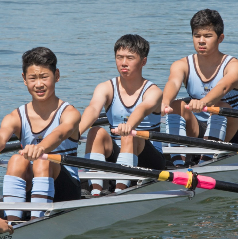 Rowing: Year 8 crews photographs
